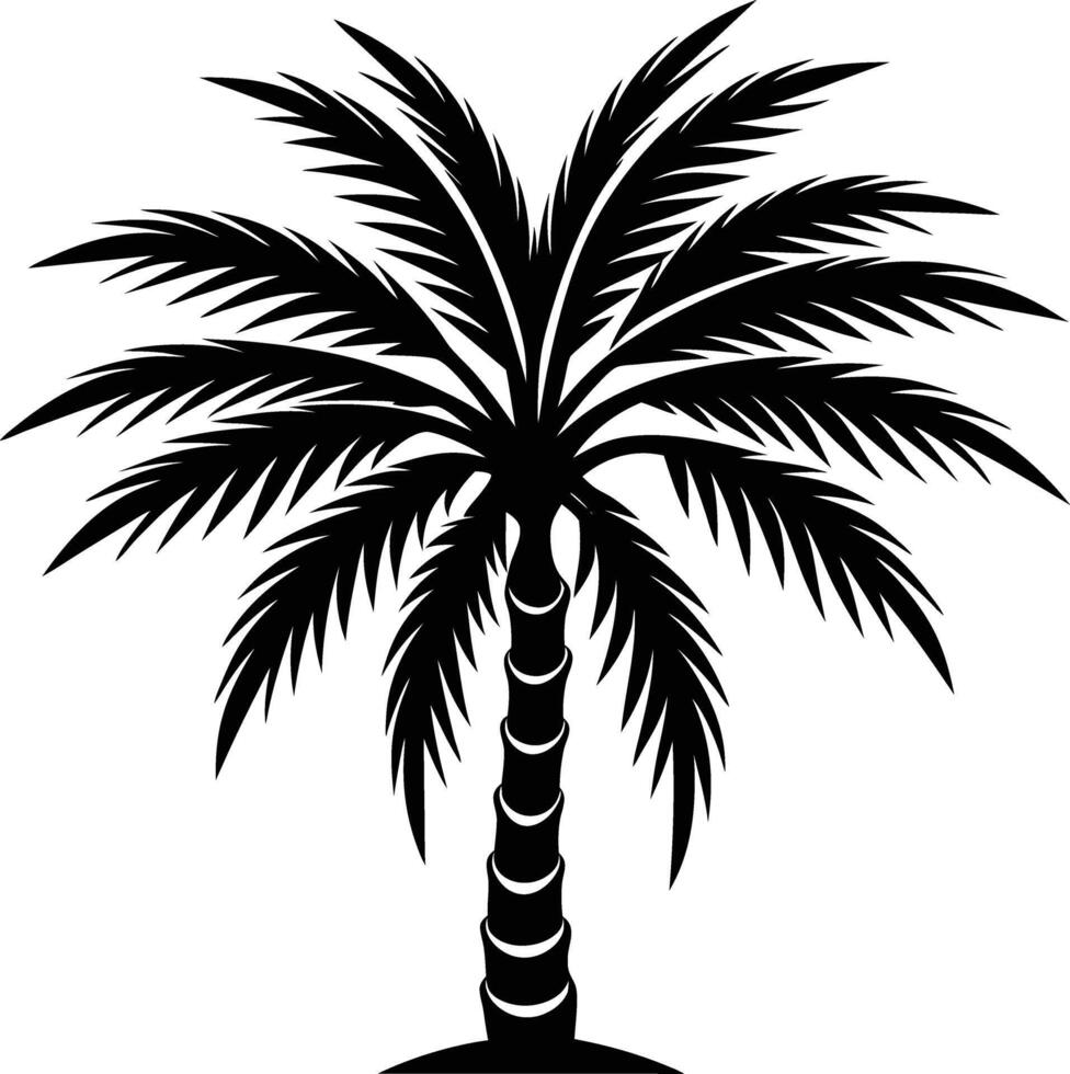 A black palm tree silhouette isolated on white background vector