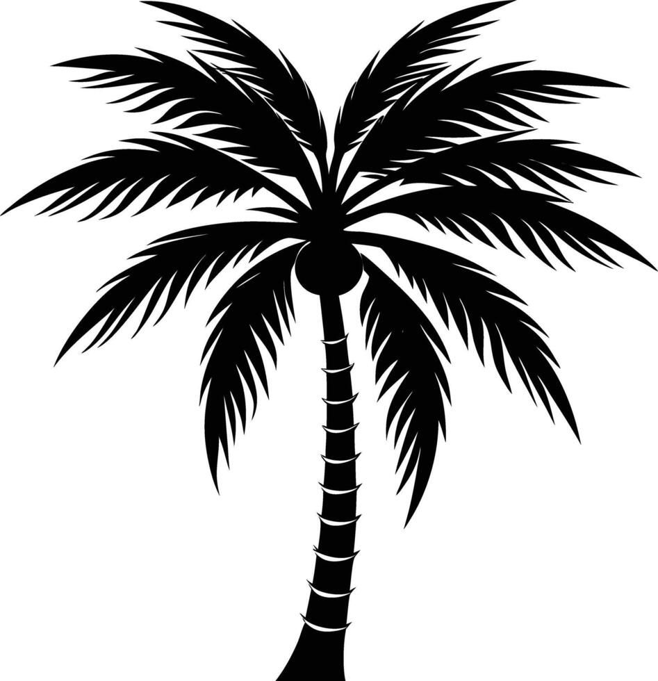 A black palm tree silhouette isolated on white background vector