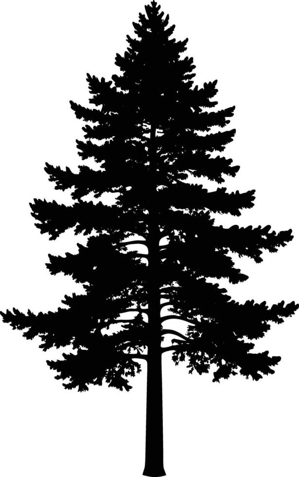 A black silhouette of a tall pine tree vector