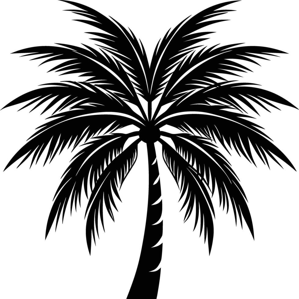 A black palm tree silhouette isolated on white background vector
