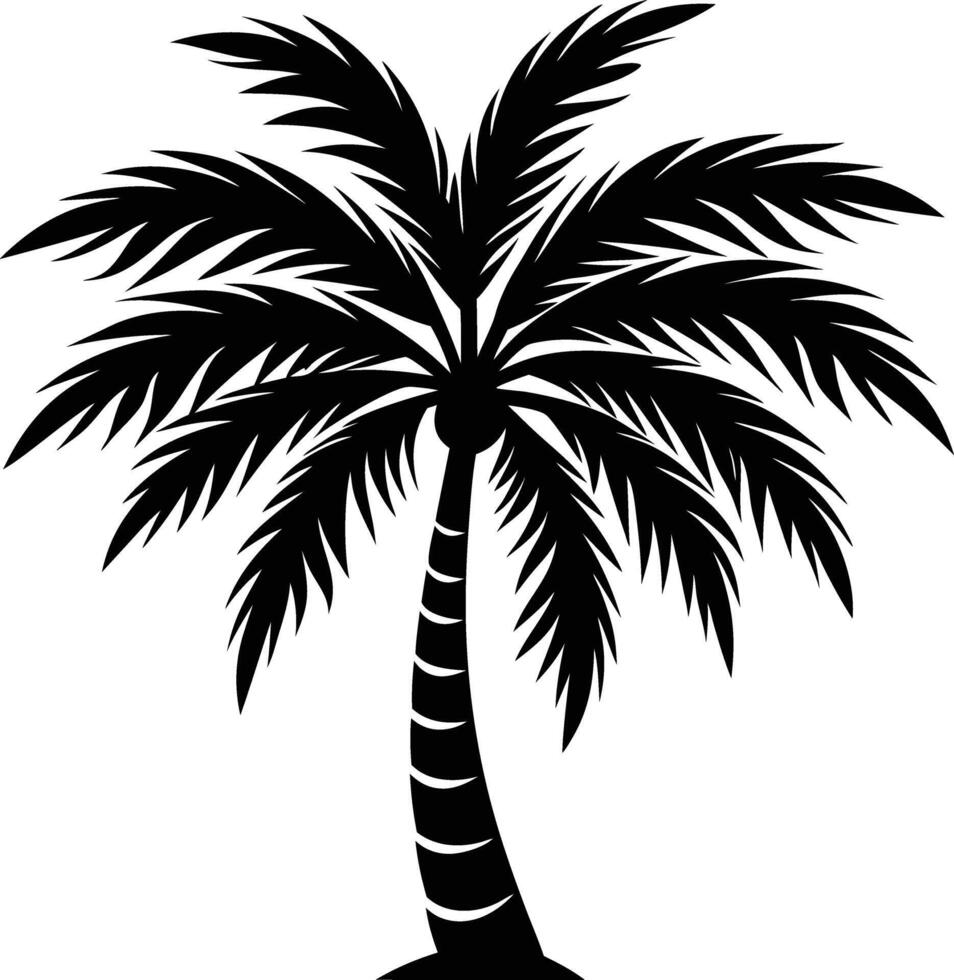A black palm tree silhouette isolated on white background vector