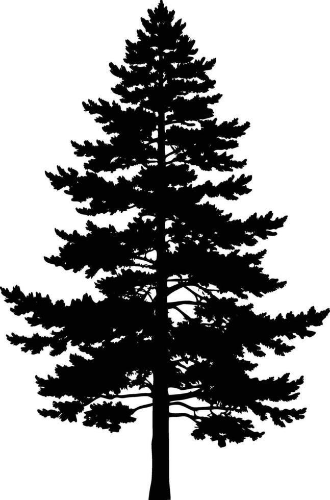A black silhouette of a tall pine tree vector