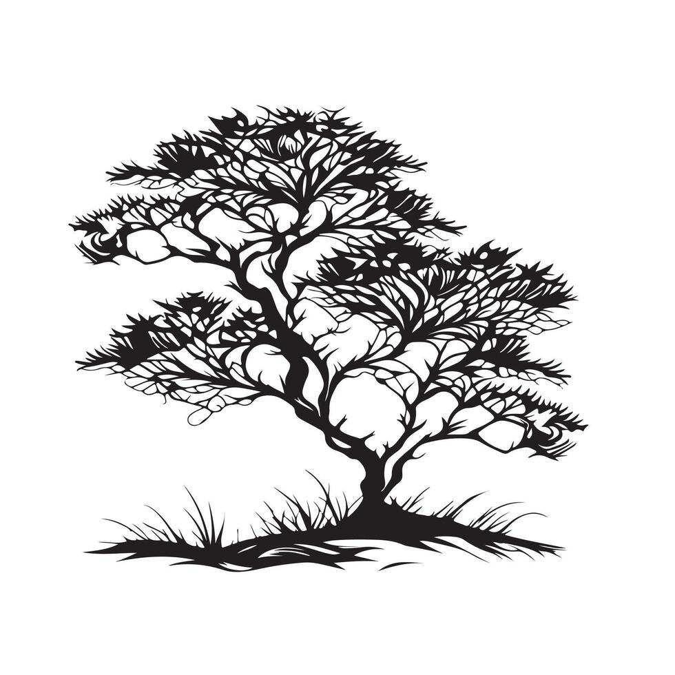tree Silhouette illustration vector