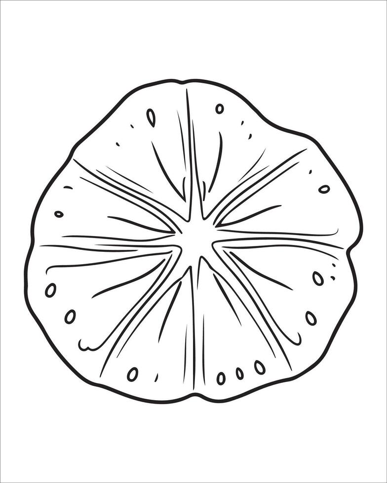 A cute sea dollar vector