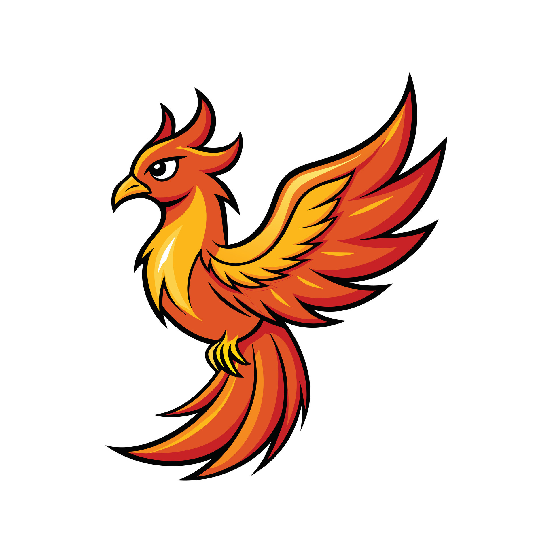 Phoenix logo template 47257627 Vector Art at Vecteezy