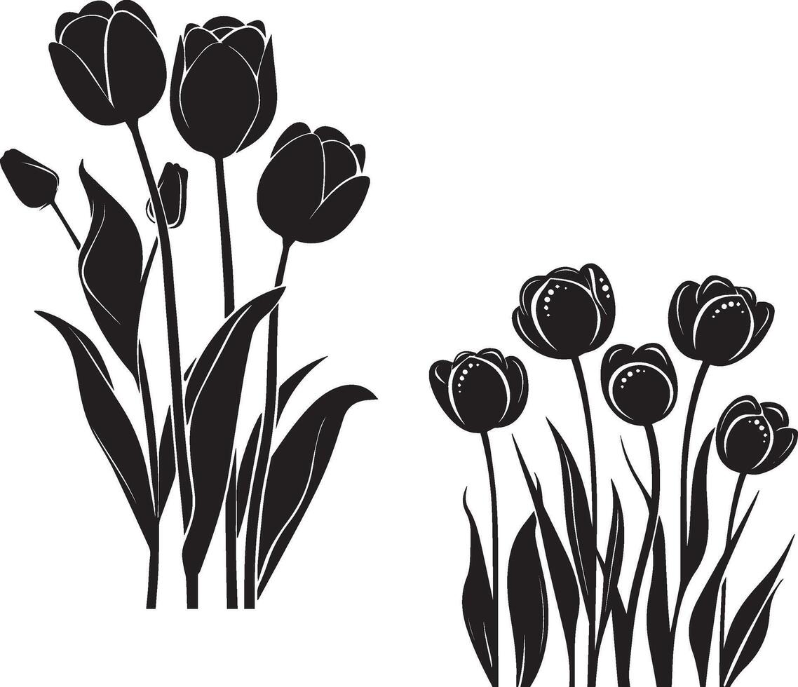 Tulip flowers silhouette on white background vector