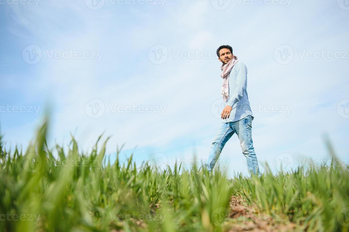 worry less ,indian farmer standing in his healthy wheat field photo