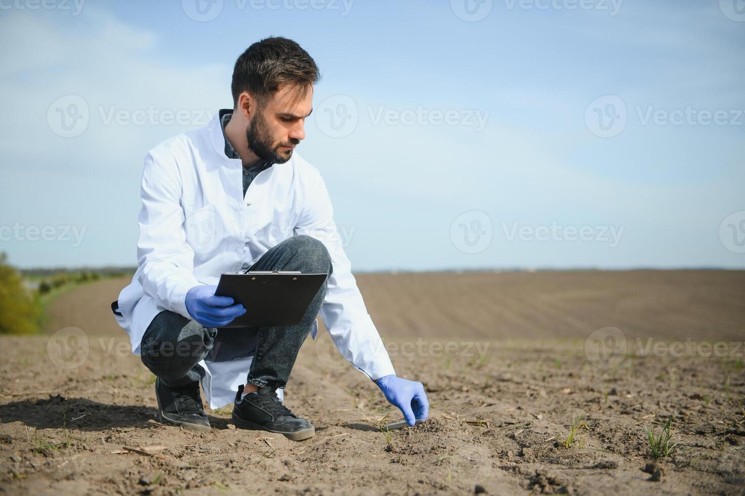 Soil Testing. Agronomy Specialist taking soil sample for fertility analysis. Hands in gloves close up. Environmental protection, organic soil certification, field work, research. photo