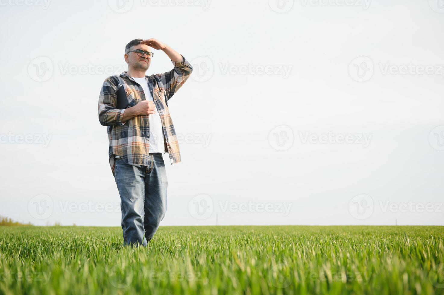 Experienced and confident farmer on his field. Portrait of senior farmer agronomist in wheat field. photo