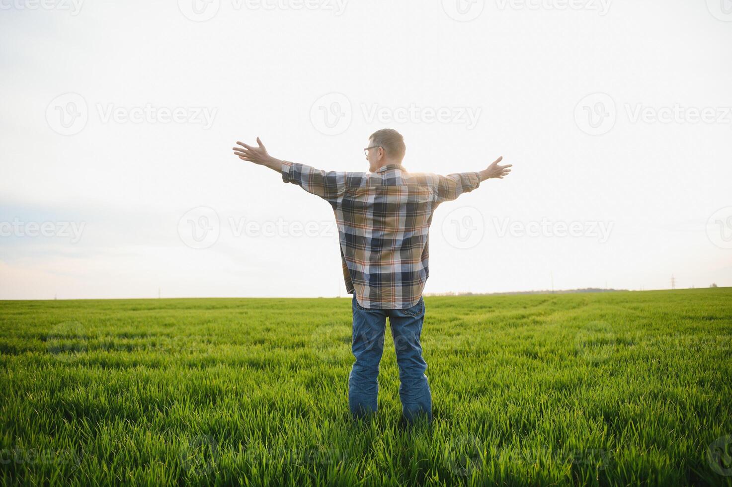 Portrait of senior farmer standing in wheat field examining crop during the day. photo