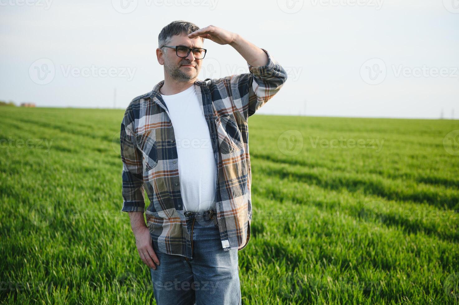 A young farmer inspects the quality of wheat sprouts in the field. The concept of agriculture. photo