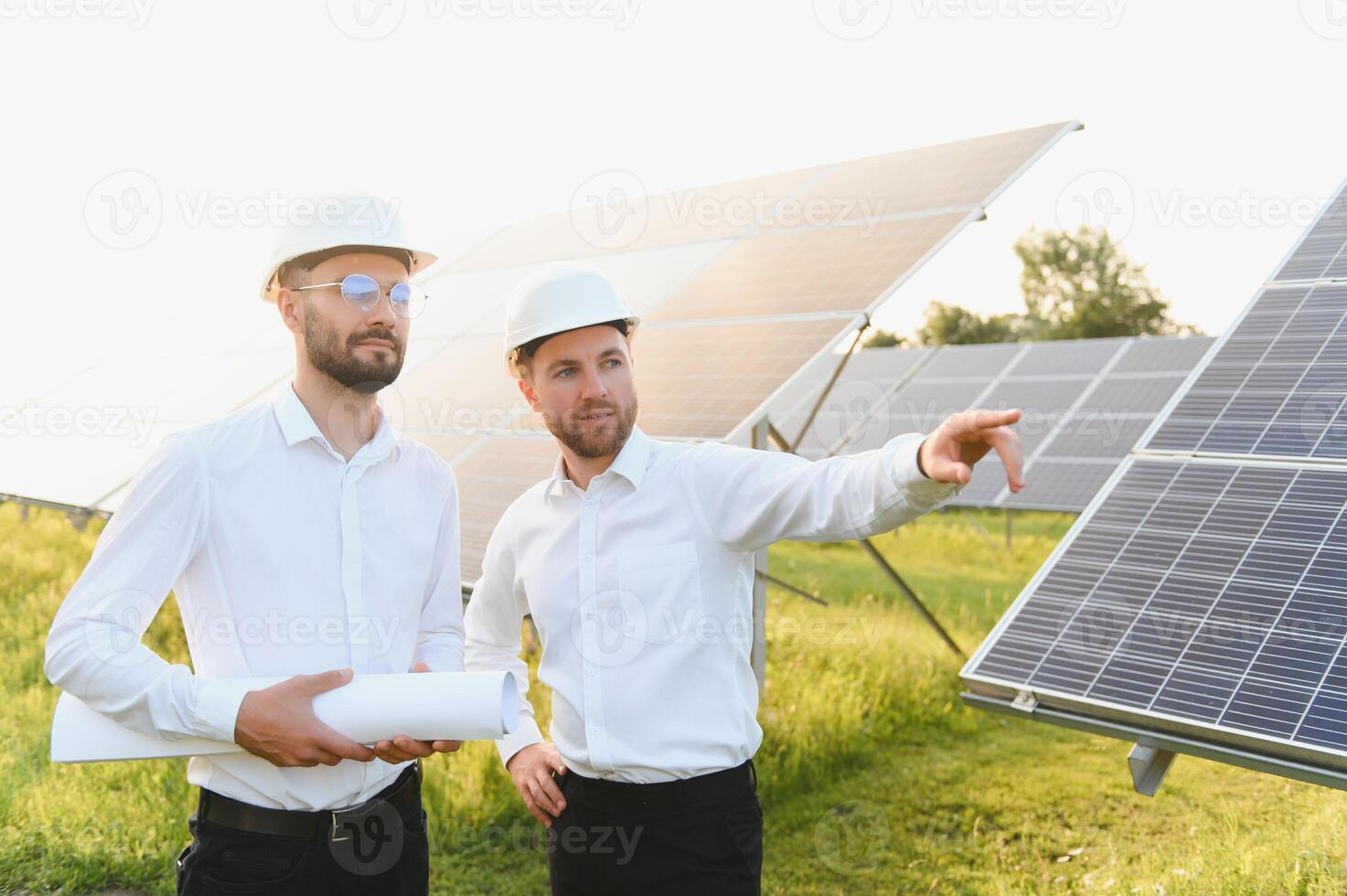 engineer and businessman planing new ecology project. around solar panel. photo
