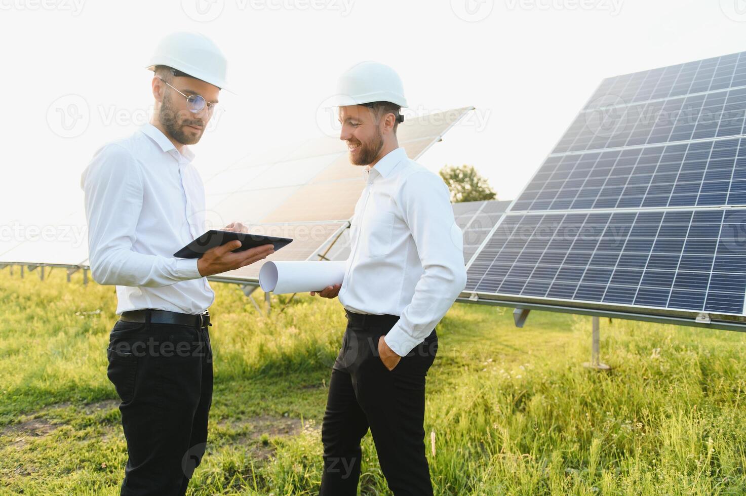 engineer and businessman planing new ecology project. around solar panel. photo