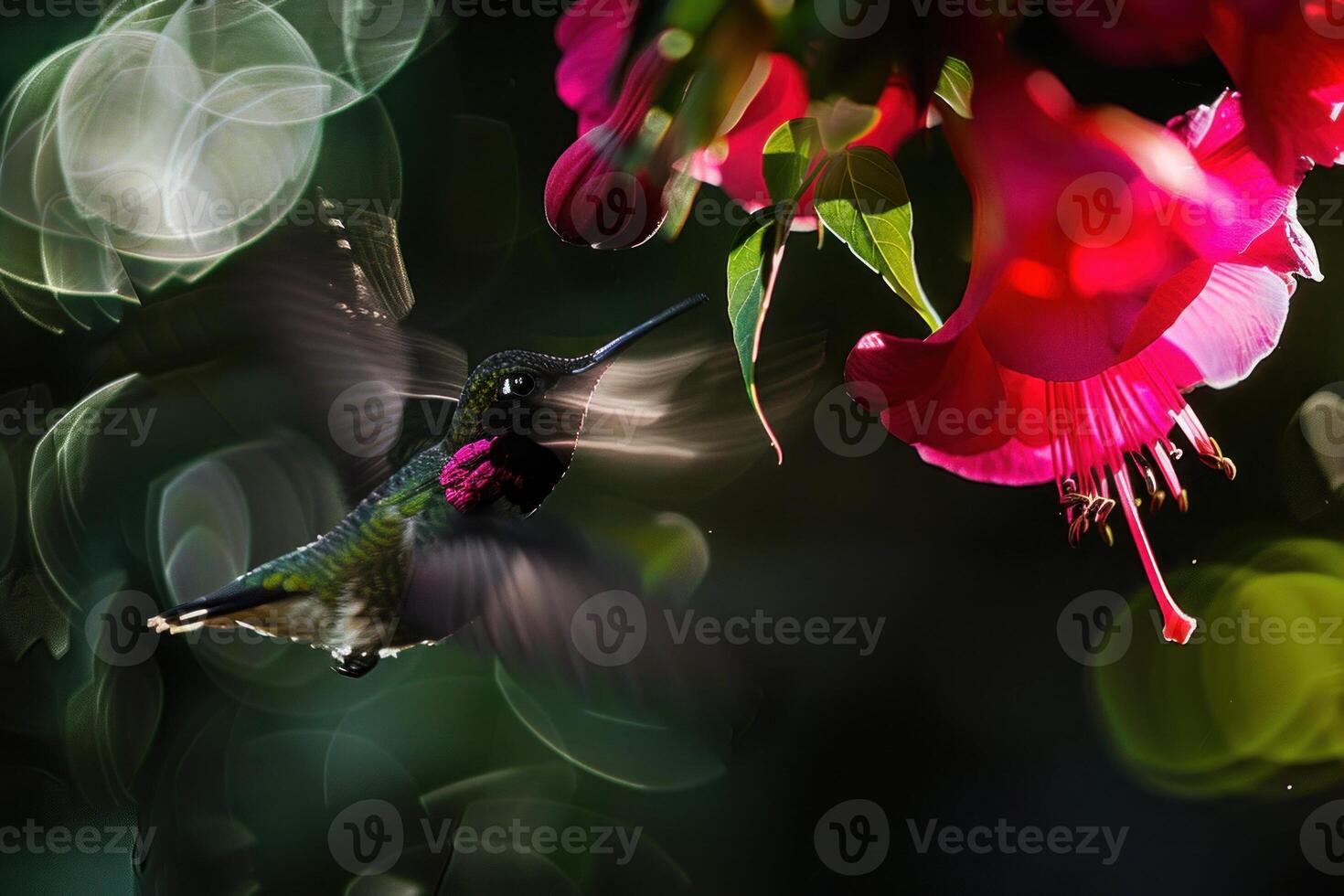 Hummingbird flying towards a pink flower taking nectar photo