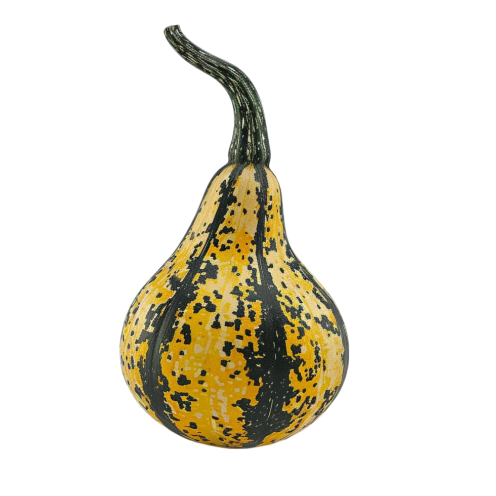 A Yellow And Black Gourd On A Transparent Background. png
