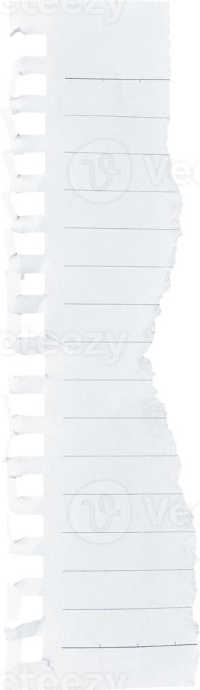 vit texturerad trasig fodrad papper bit png
