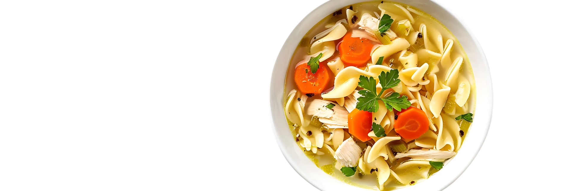 Chicken Noodle Soup in White Bowl Photo png