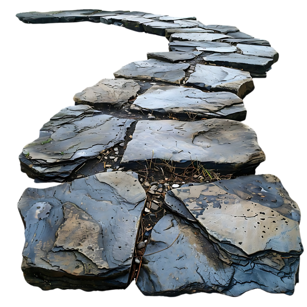 Stone Path Winding Through Nature png