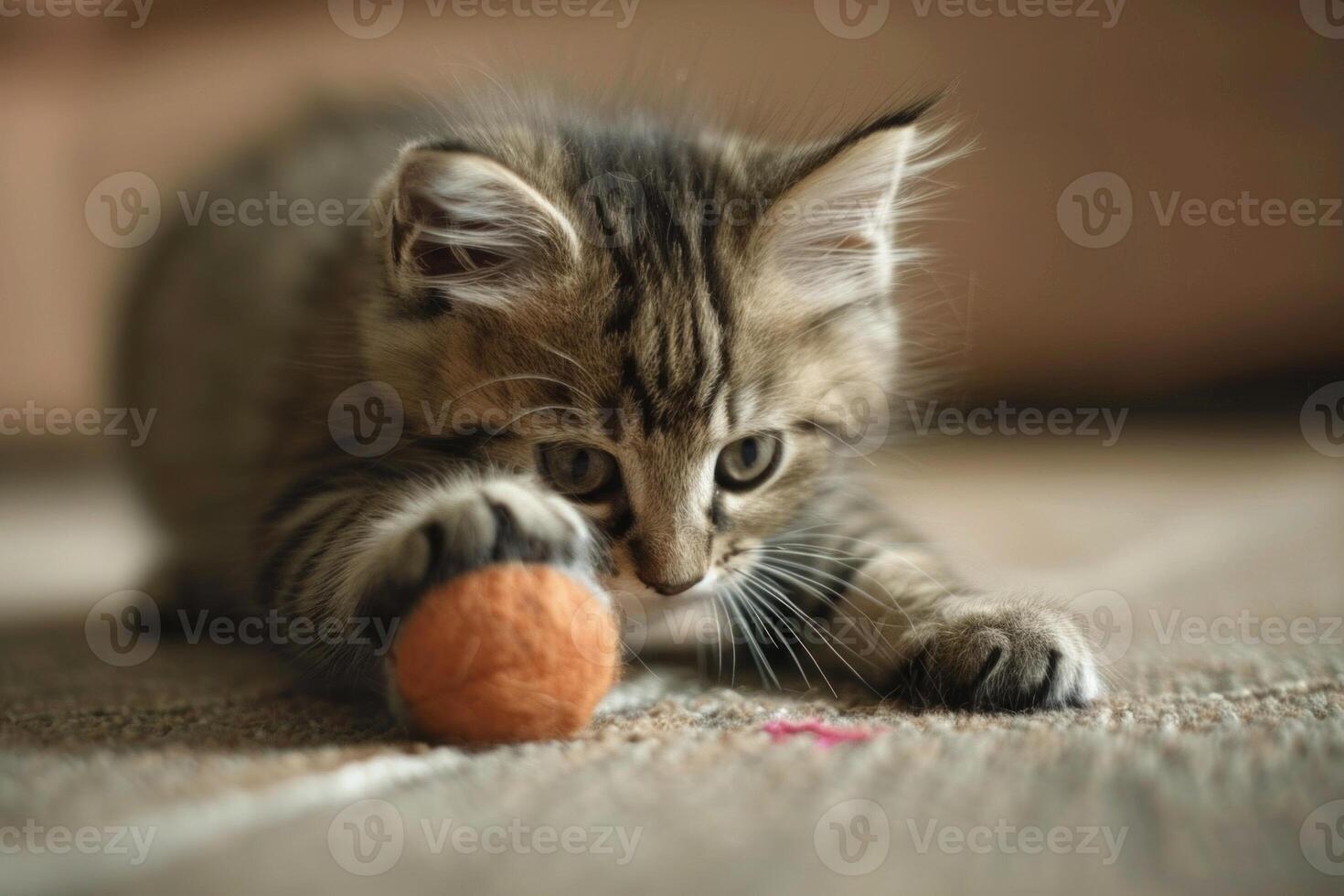 Cute tabby kitten engages with a soft ball on a textured surface, displaying curiosity and playfulness photo
