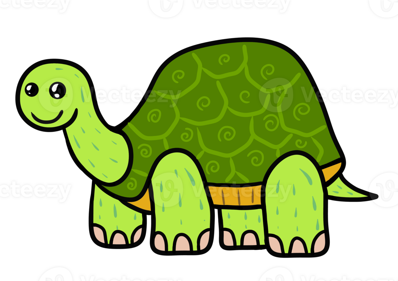turtle cartoon characters png