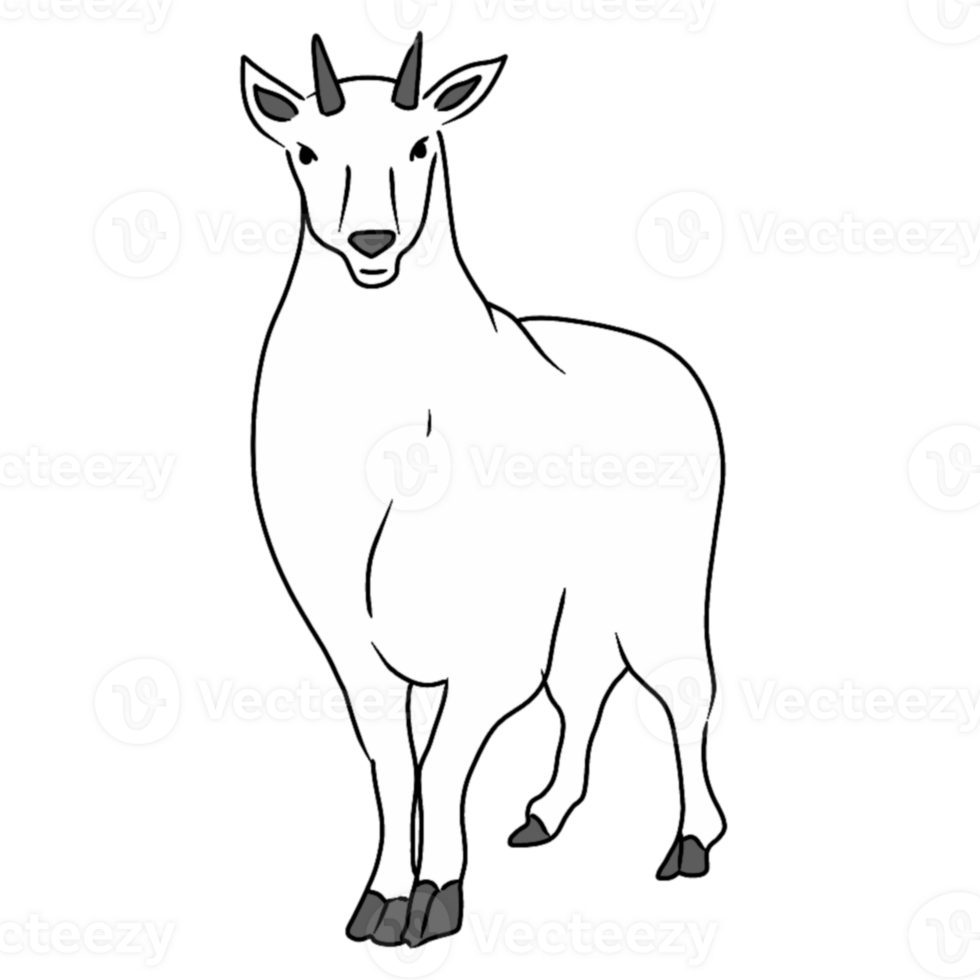 Cute goat cartoon characters png