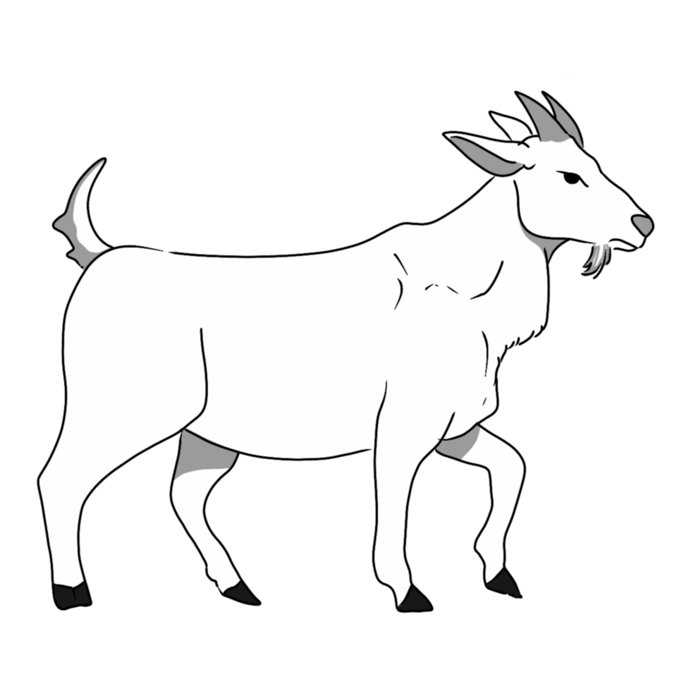 White goat illustration Layer 18 png