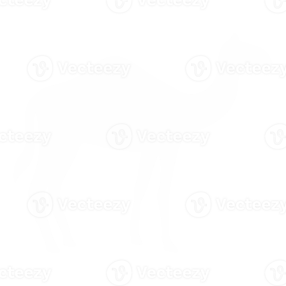 Camel illustration character png