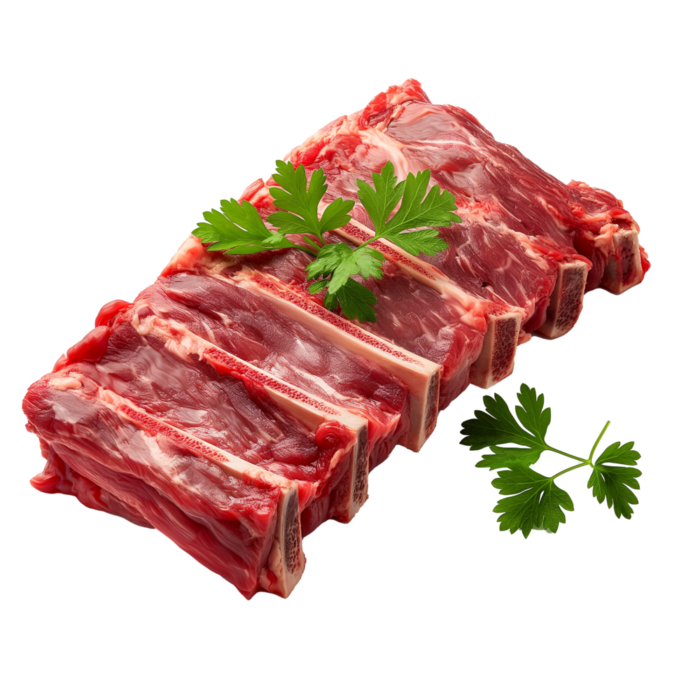 , Raw beef rib with marbled meat and bone png