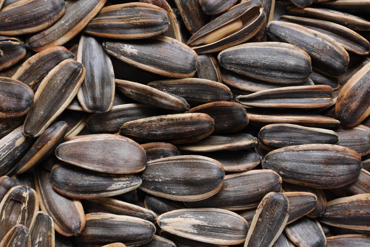 Sunflower seeds pattern texture background photo