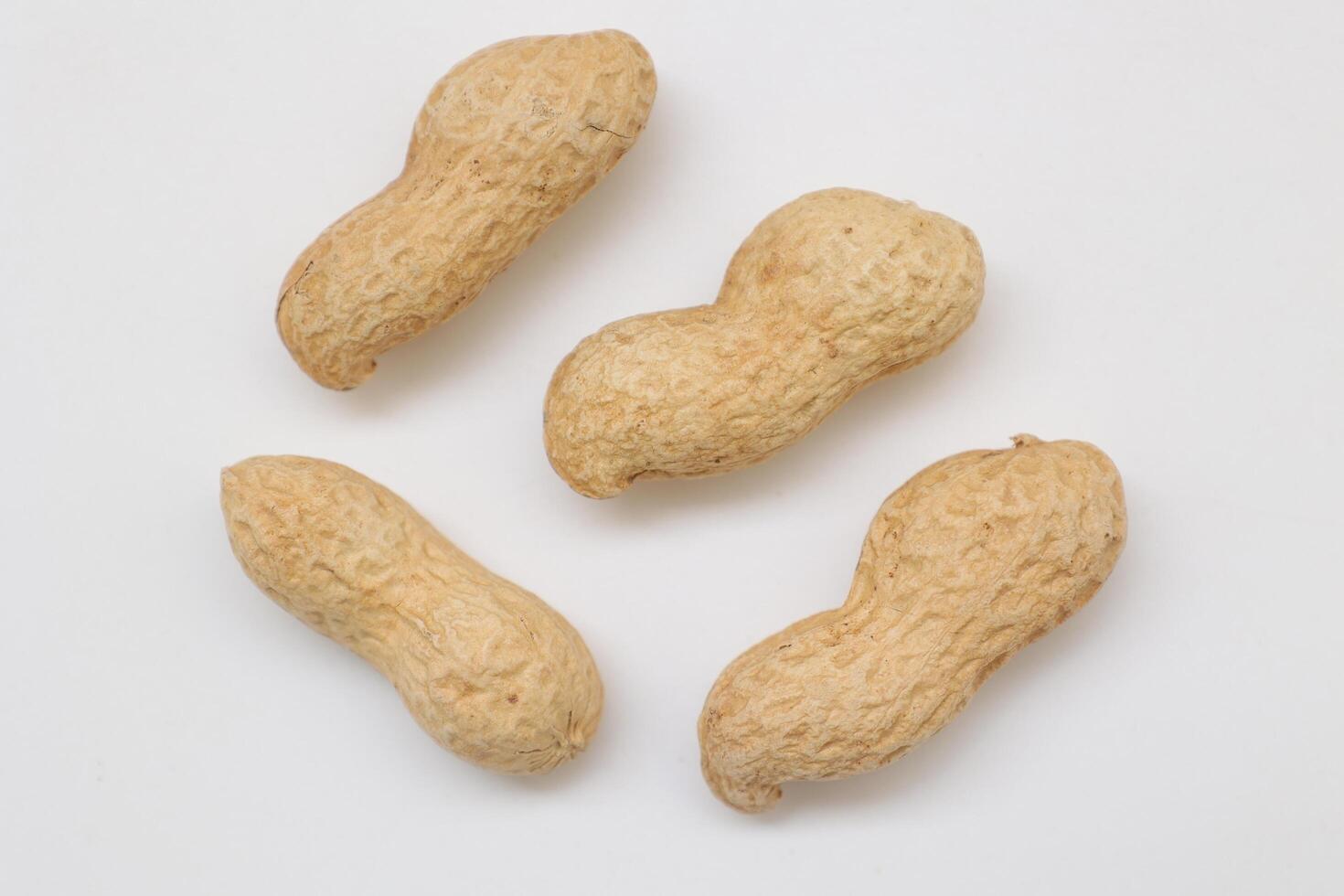 Peanut on white background photo