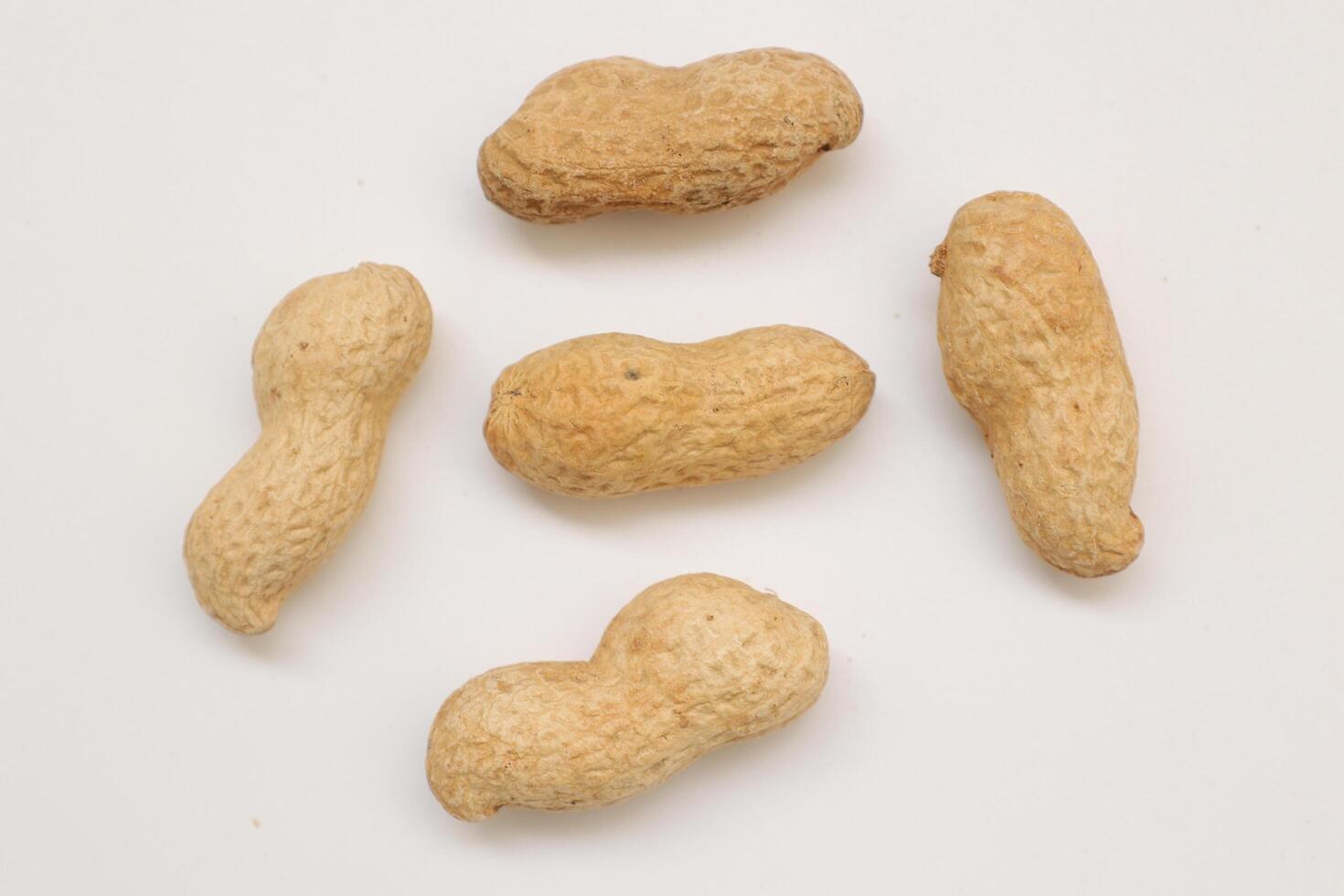 Peanut on white background photo