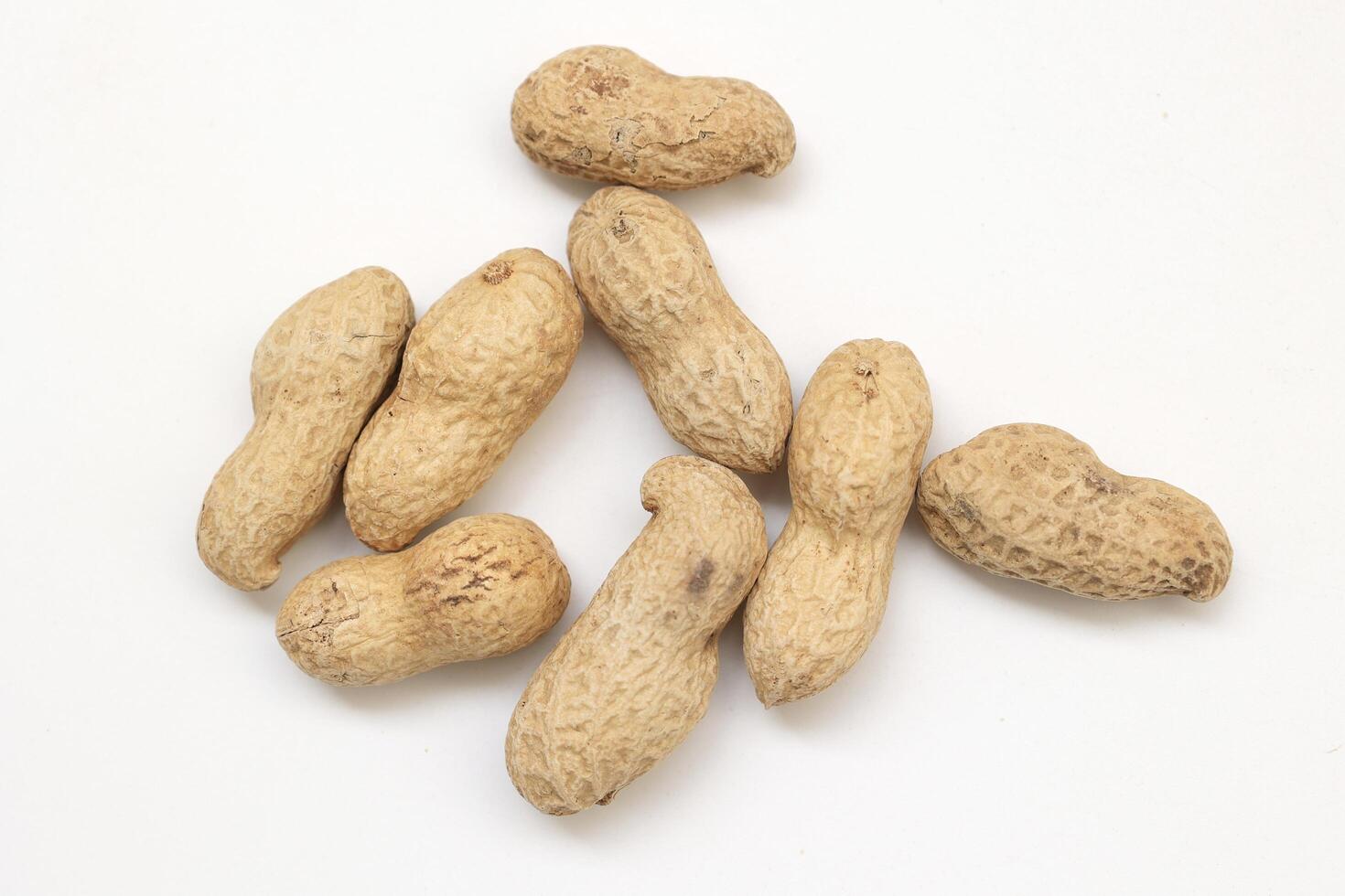 Peanut on white background photo
