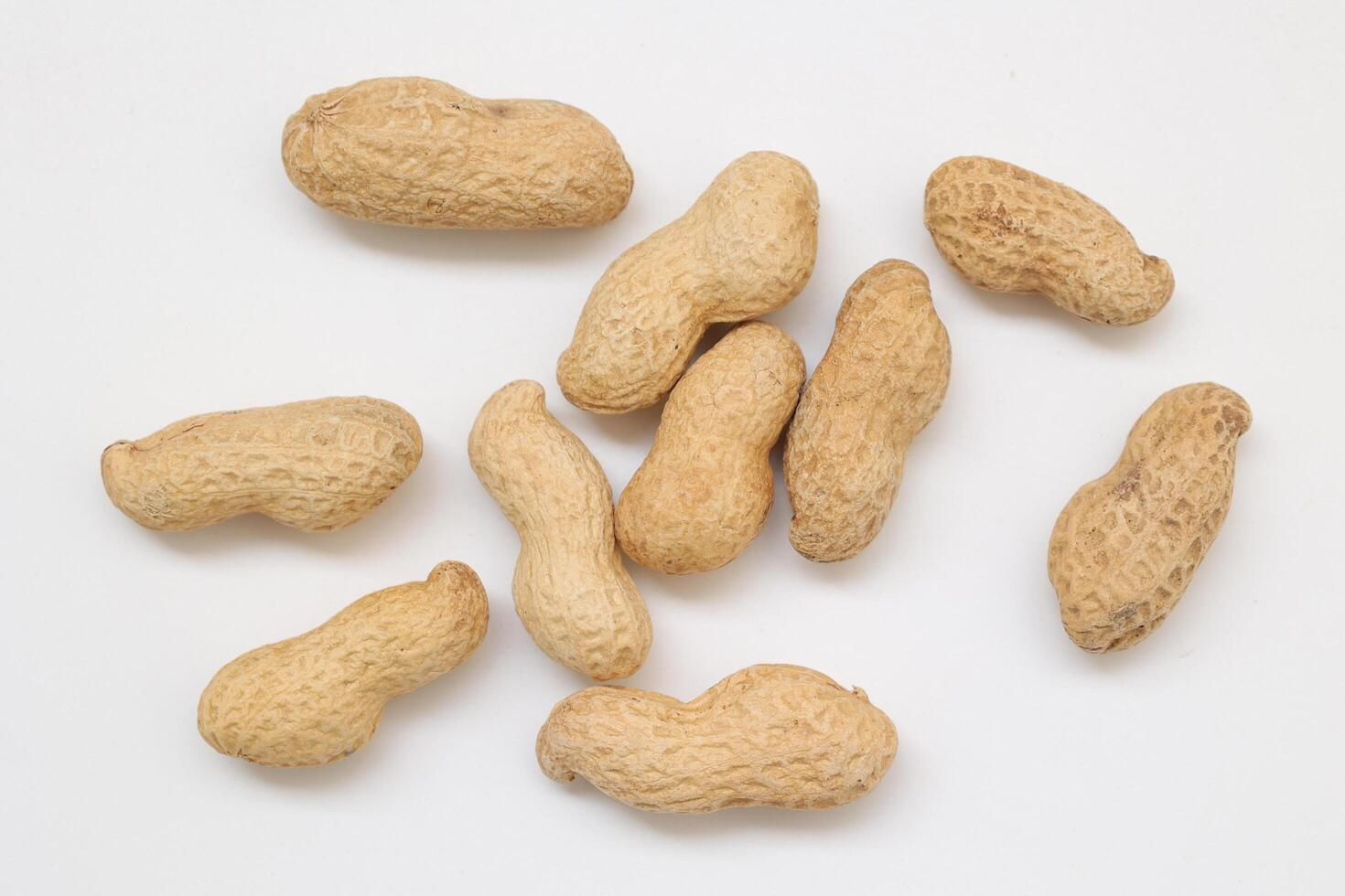 Peanut on white background photo
