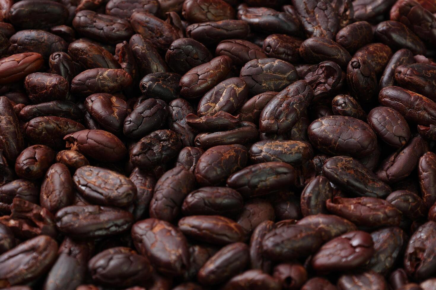 Brown roasted cocoa beans seeds pattern texture background photo