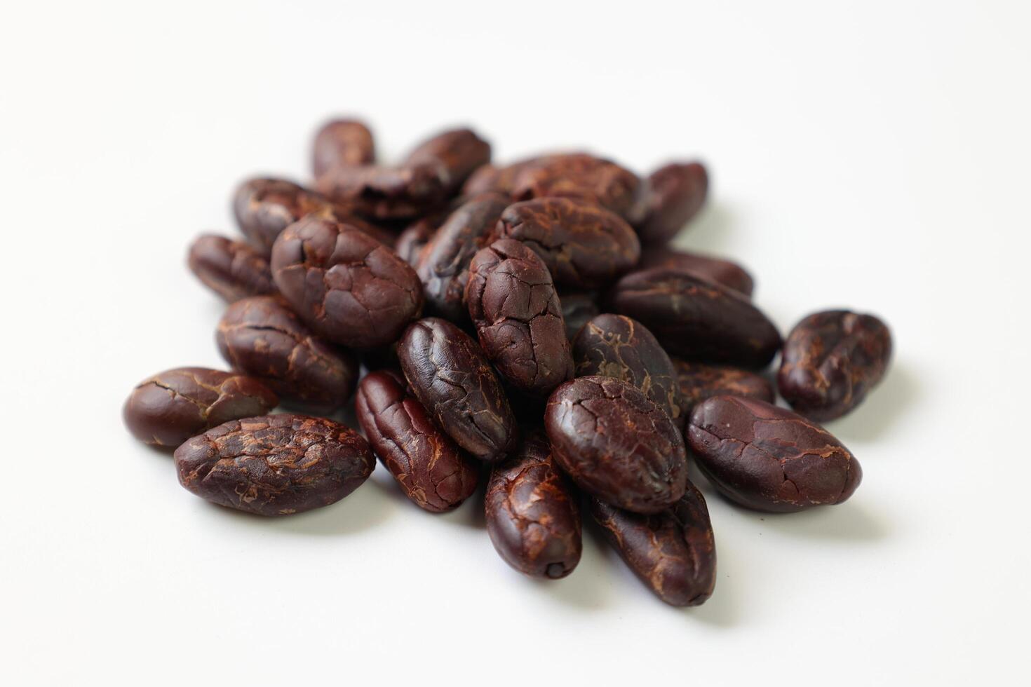 Roasted cocoa beans isolated on white background photo