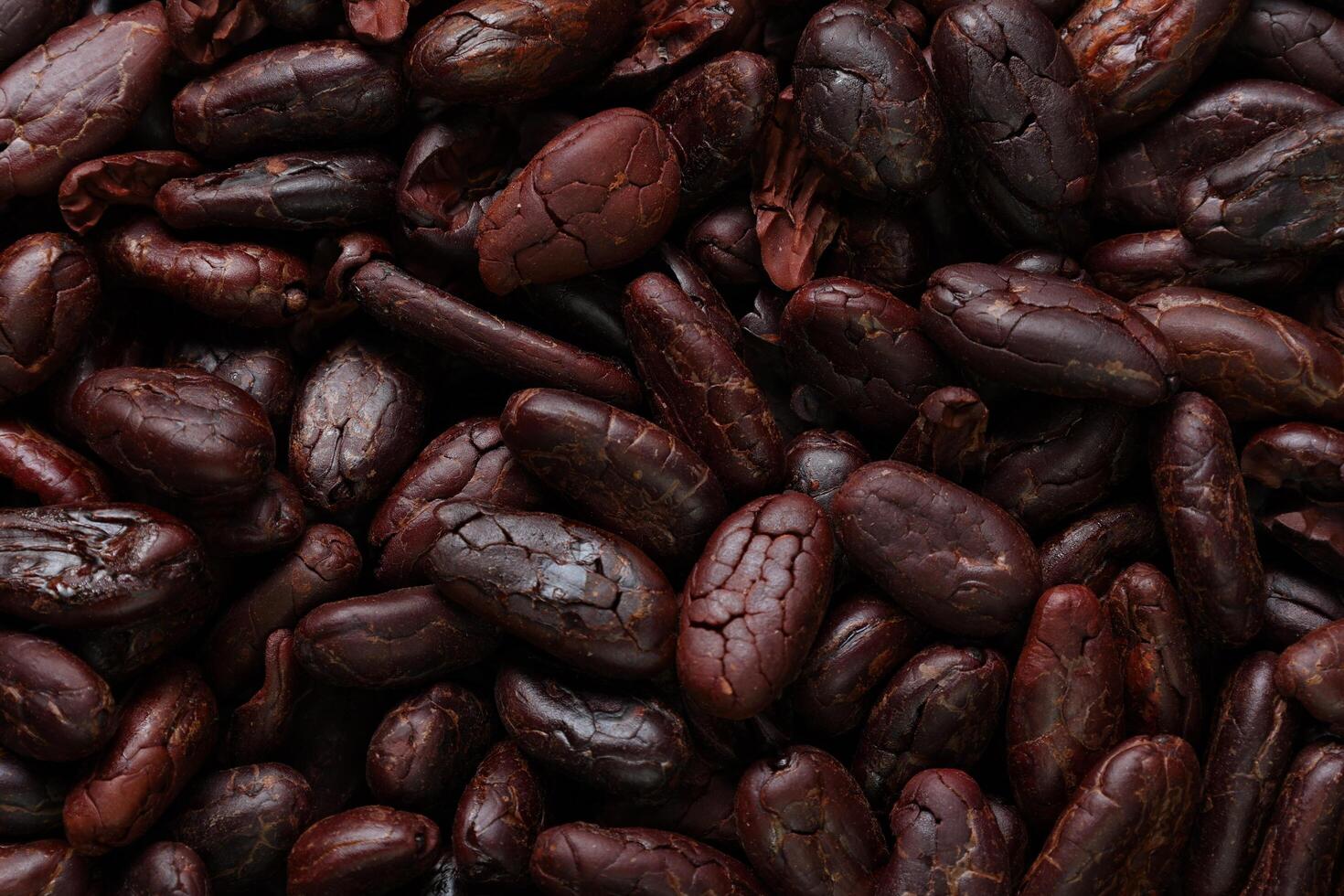 Brown roasted cocoa beans seeds pattern texture background photo