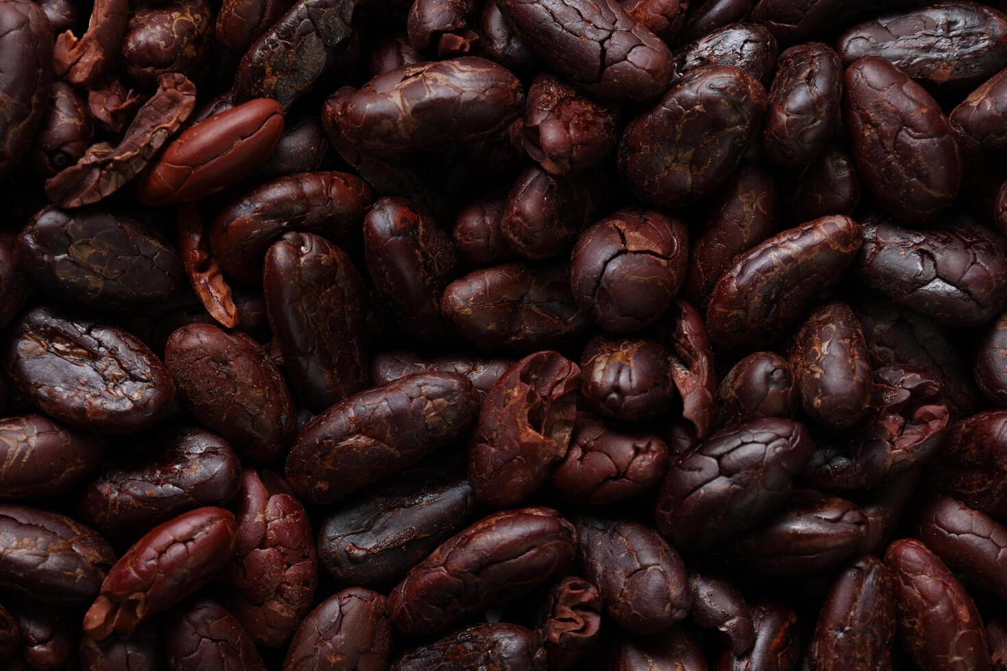 Brown roasted cocoa beans seeds pattern texture background photo