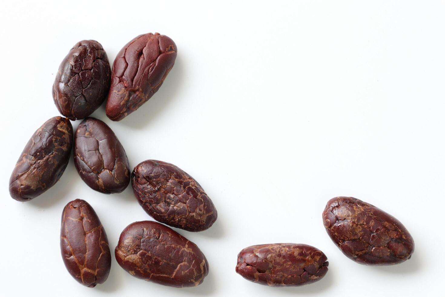 Brown roasted cocoa beans seeds, cocoa bean photo