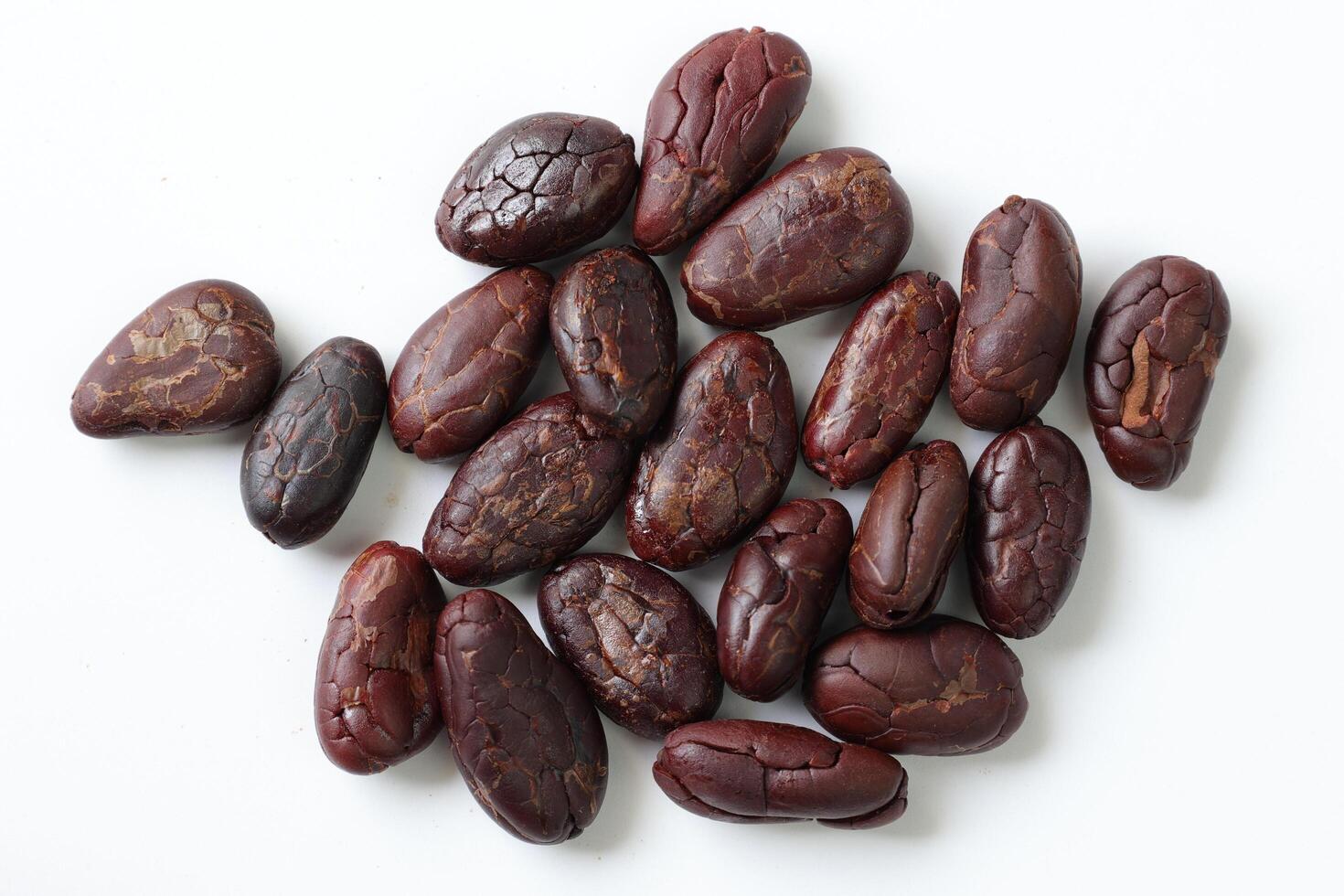 Brown roasted cocoa beans seeds, cocoa bean photo