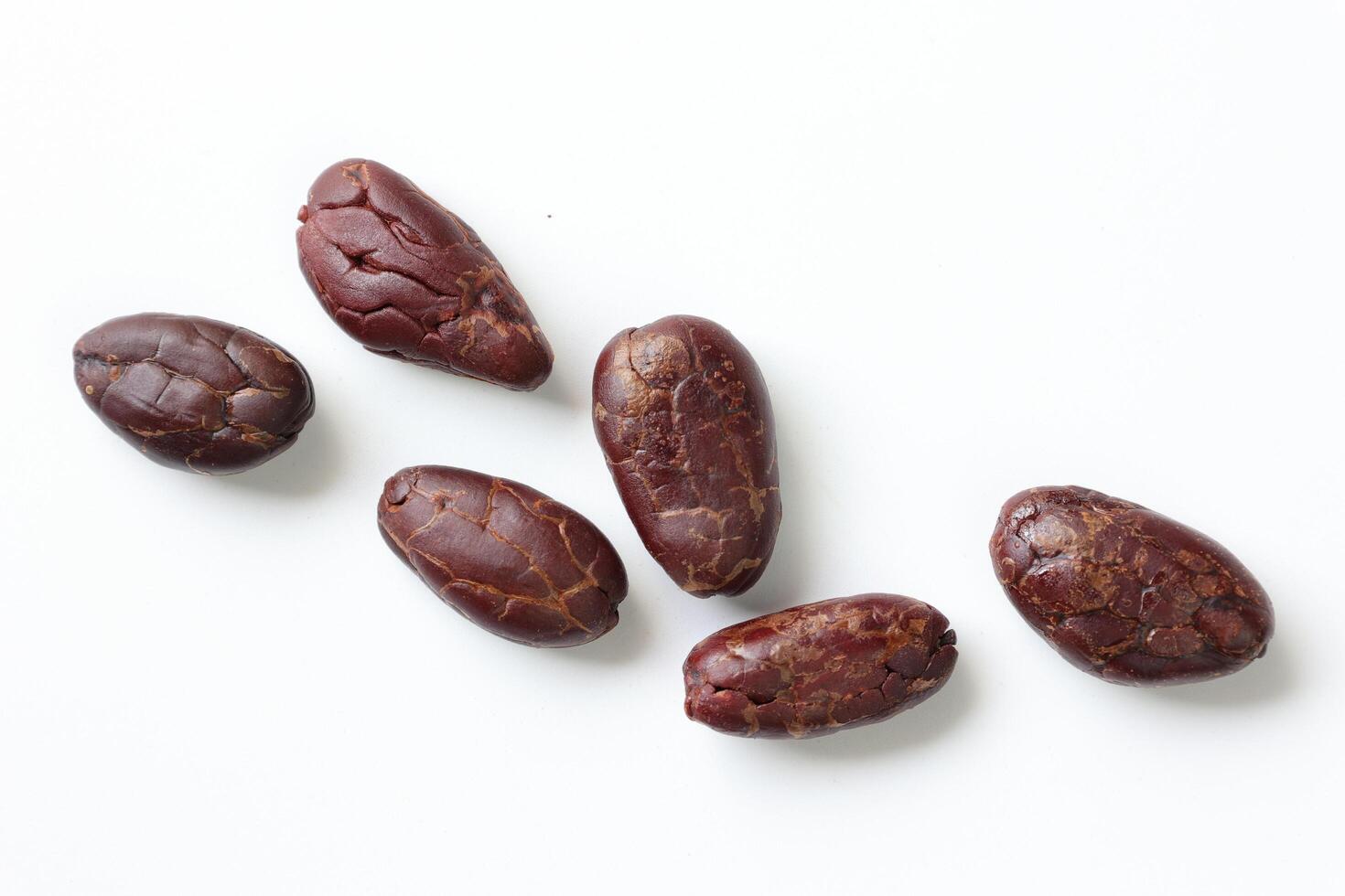 Brown roasted cocoa beans seeds, cocoa bean photo