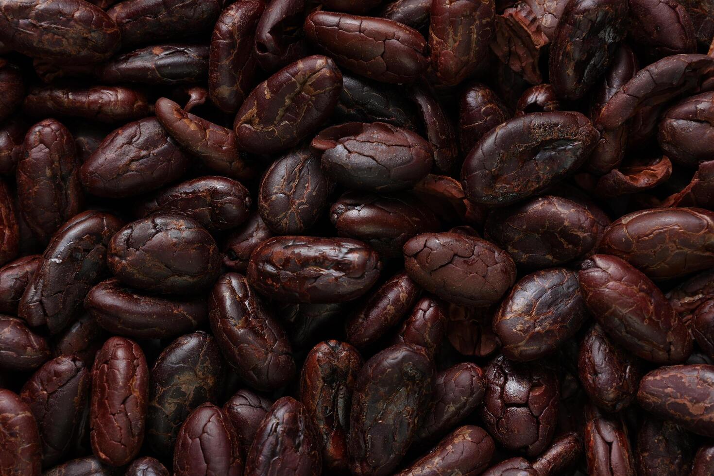 Brown roasted cocoa beans seeds pattern texture background photo