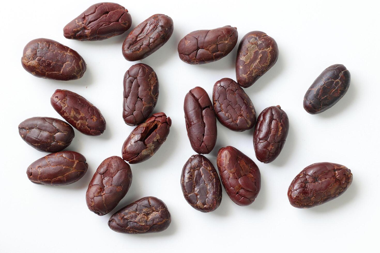 Brown roasted cocoa beans seeds, cocoa bean photo