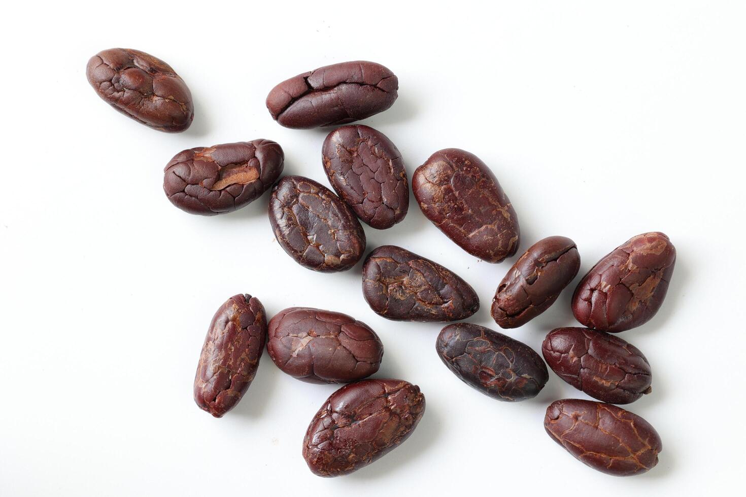 Brown roasted cocoa beans seeds, cocoa bean photo