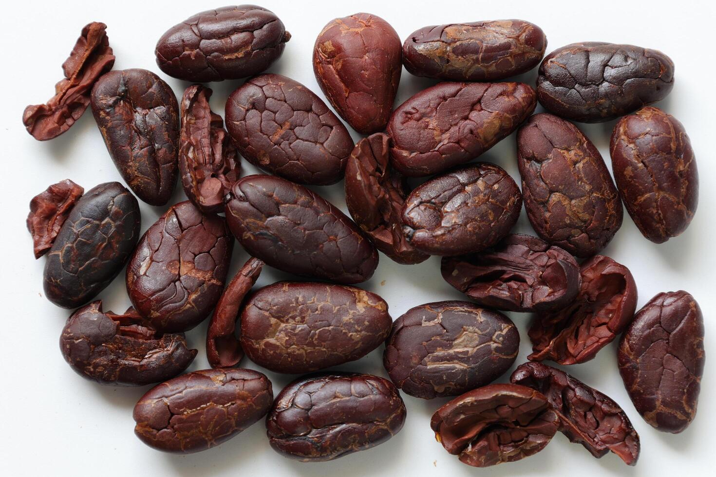 Brown roasted cocoa beans seeds, cocoa bean photo