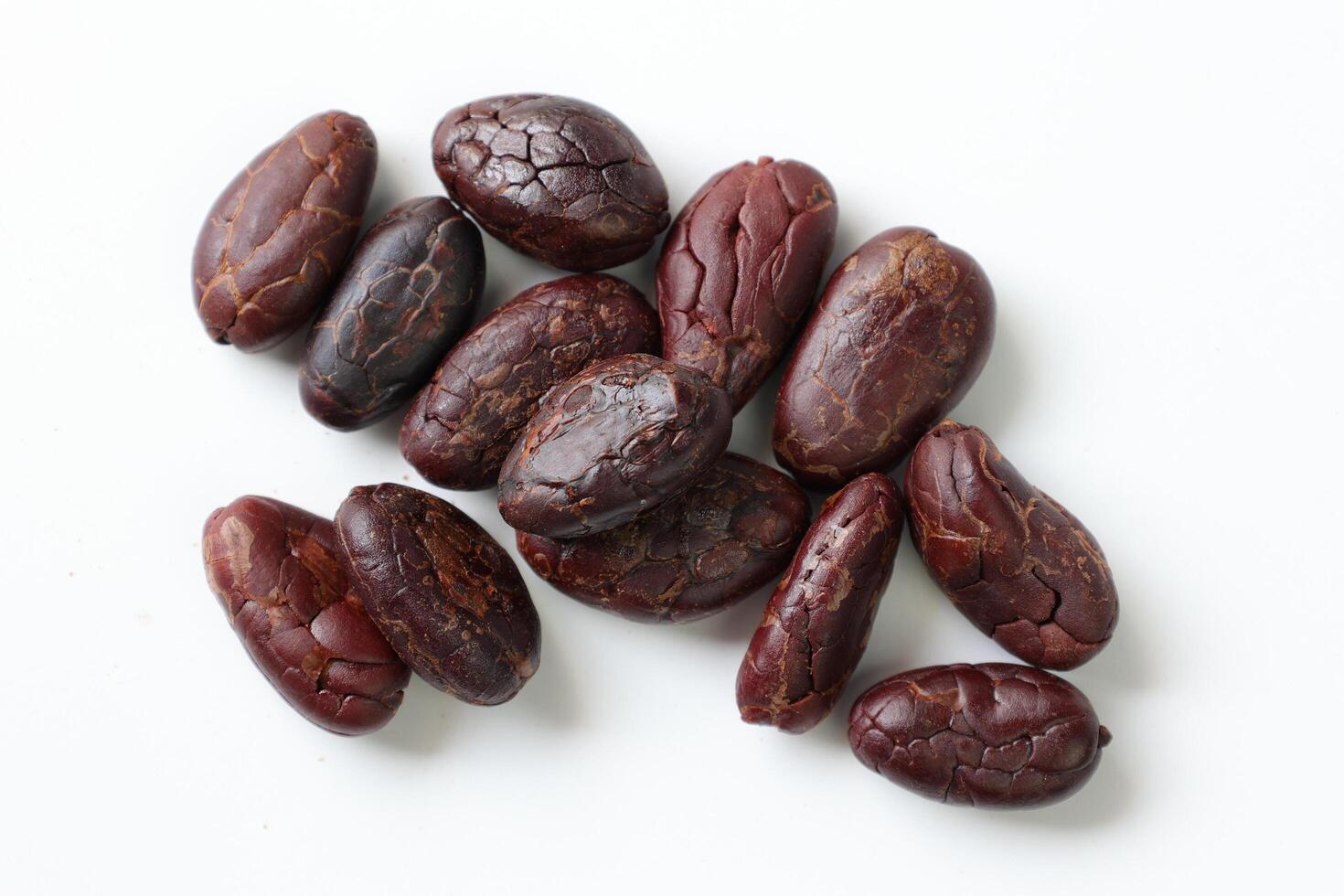 Brown roasted cocoa beans seeds, cocoa bean photo