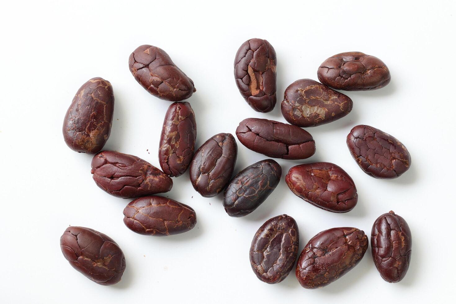 Brown roasted cocoa beans seeds, cocoa bean photo