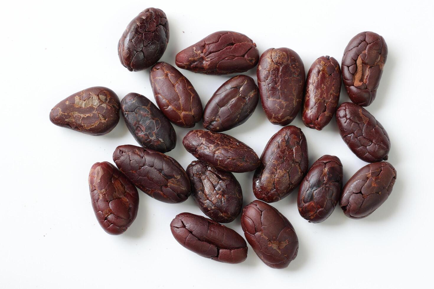 Brown roasted cocoa beans seeds, cocoa bean photo