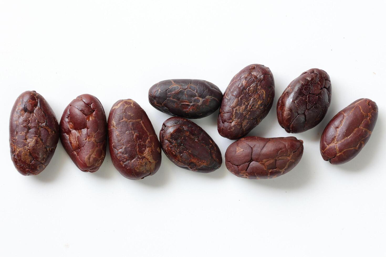 Brown roasted cocoa beans seeds, cocoa bean photo