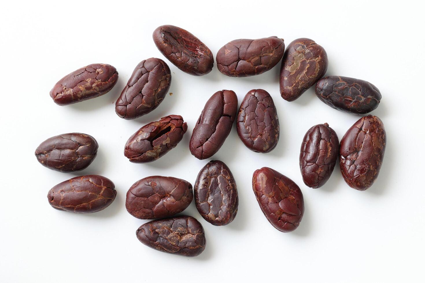 Brown roasted cocoa beans seeds, cocoa bean photo