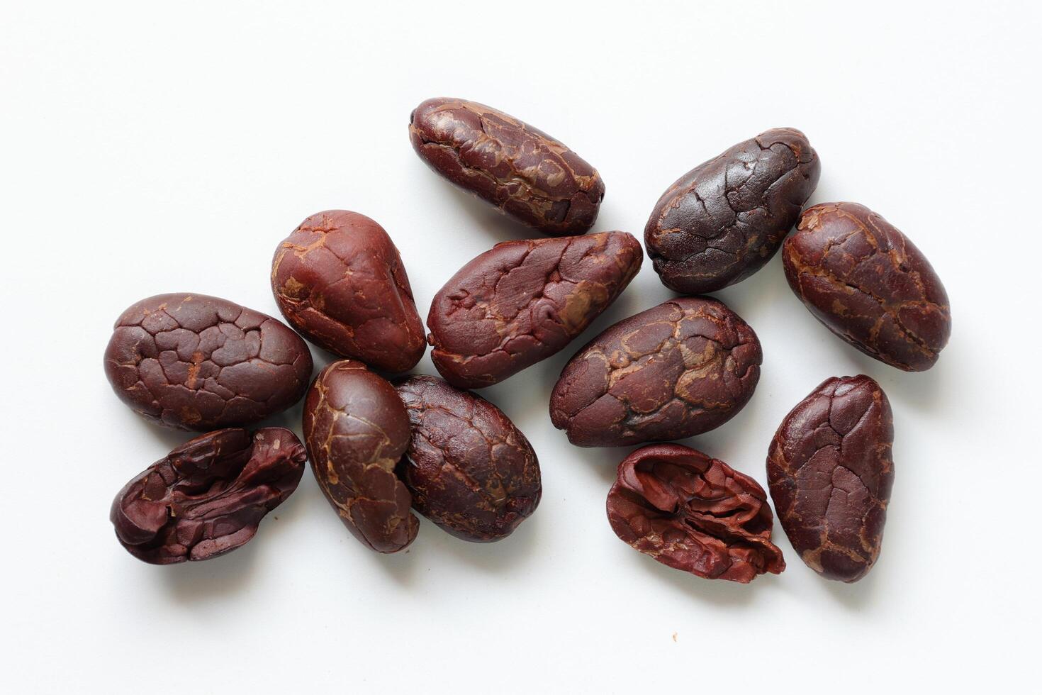 Brown roasted cocoa beans seeds, cocoa bean photo